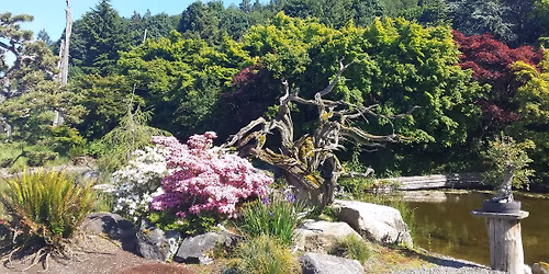 FREE Bring Your Own Bonsai Workshop\/Study Group