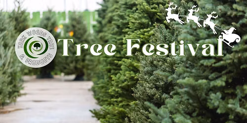 6th Annual Tree Festival