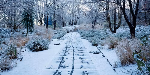 Un autre No\u00ebl en Polyn\u00e9sie fran\u00e7aise