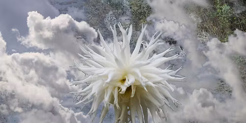 The Brothers Gruchy Opening event and floor talk