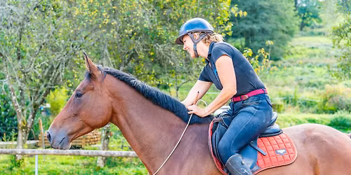 Stage de l\u2019Education \u00e0 l\u2019Equitation- niveau 1 et 2