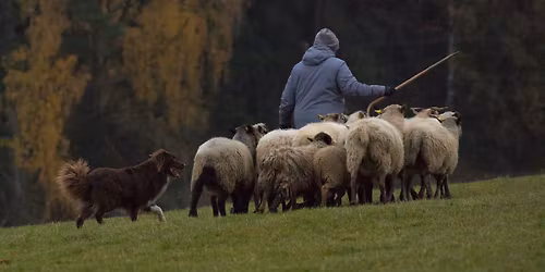 Jarn\u00ed z\u00e1vody v Soum\u011b\u0159i-CACT