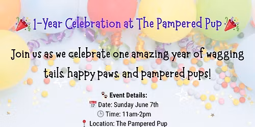 1 Year Celebration!