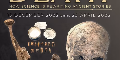 STORY TALK: Curatorial Talk - Life After Death