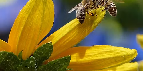 Presentation and Native Plant Sale