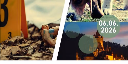 Cochem: Stadtkrimi mit Hund