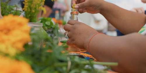 Things In Jars: Tinctures (Pt 1)