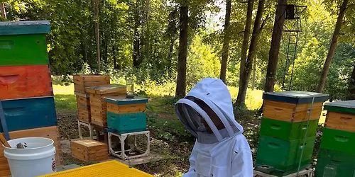 All About Bees \ud83d\udc1d Kid\u2019s Natural Beekeeping Class