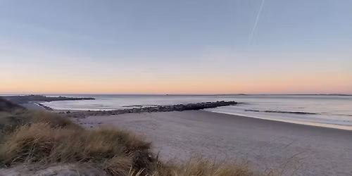 Bes\u00f8g af dementskonsulent 