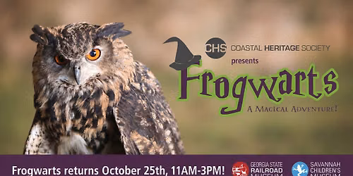 Frogwarts 2026: A Magical Adventure!