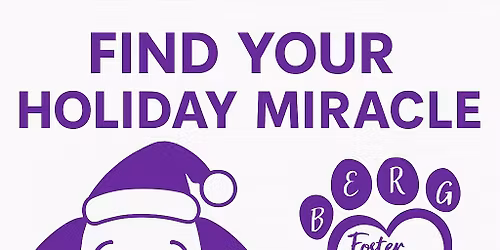 December Adoption Event - Cypress