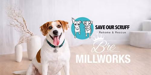 National Rescue Dog Day - Photo Event in Support of Save Our Scruff