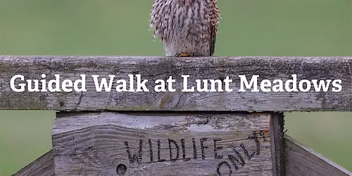 Guided Walk - Short Walk: Discover Lunt Meadows led by Senior Reserve Officer