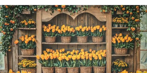 Tavaszi\/any\u00e1k napi gyermek minifot\u00f3z\u00e1s a Piciri Kuck\u00f3ban! \ud83c\udf37\ud83d\udcf7