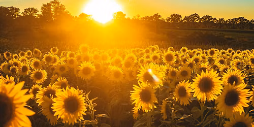 Summer Solstice Ceremony