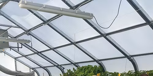 2026 Plant Sale - Central Gorge Master Gardener