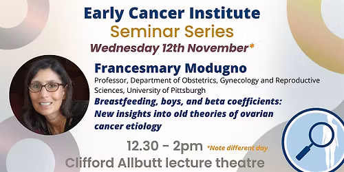 ECI Seminar: Professor Francesmary Modugno
