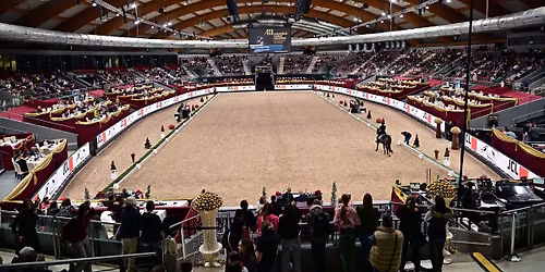 Amadeus Horse Indoors 2025
