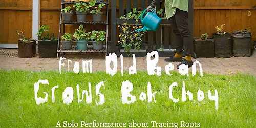 From Old Bean Grows Bak Choy: A Solo Performance about Tracing Roots
