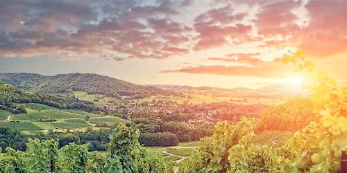 NO SOMMS ALLOWED: Burgundy and Beaujolais