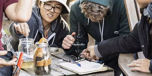 Introduction to Microscopy with The Soil Keepers (In Person)