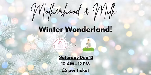 Motherhood & Milk Winter Wonderland Party \u2728