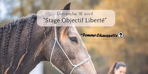 Objectif libert\u00e9 \ud83e\udd84 Les bases du travail \u00e0 pied !