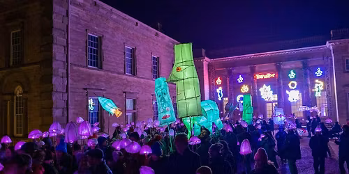 Fringe Art Wovlerhampton Lantern Parade