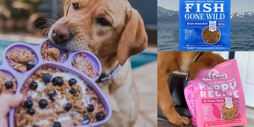 Lick Into Summer ft A Pup Above\u2600\ufe0f\ud83d\udc3e