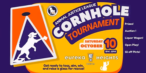 AJL Cornhole Tournament