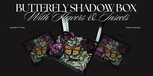 Butterfly Shadowbox Workshop