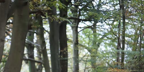 Radcliffe AC Multi Terrain Thirteen Arches Half Marathon