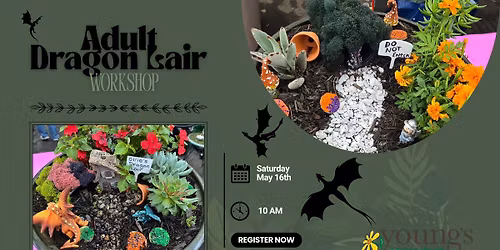 Dragon Lair Workshop - Adult's Edition