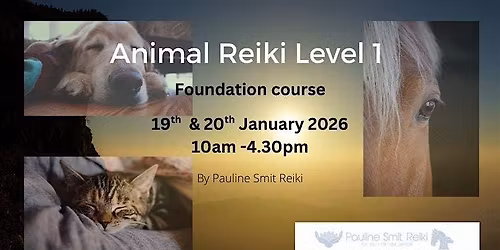 Animal Reiki  level 1 (foundation) (2 days)