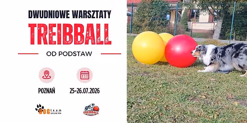 Treibball w Poznaniu - dwudniowe warsztaty treibballowe