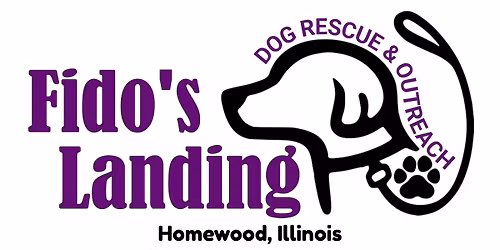 Sponsor & Donor Information Night