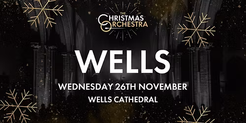 \ud83c\udfb6\ud83c\udf84The Christmas Orchestra - WELLS\ud83c\udf84\ud83c\udfb6