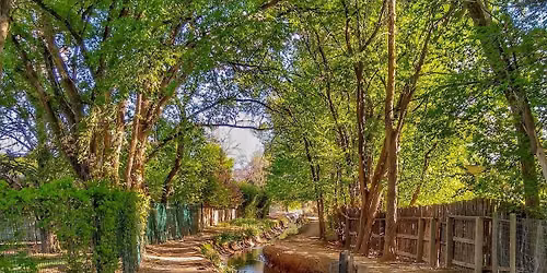 Walk Los Ranchos #28 - Greenwoods Neighborhood