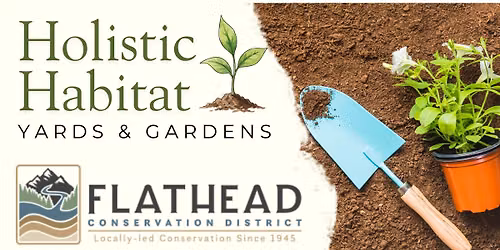 Holistic Habitat Yards & Gardens: Common Challenges and Healthy Solutions for You and Nature