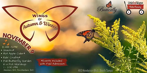 Wings of Autumn and Winter