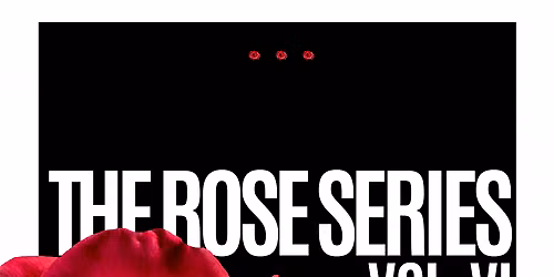 Rose Series Vl