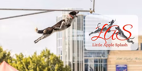 DockDogs\u00aeat Little Apple Splash | Wild Card!