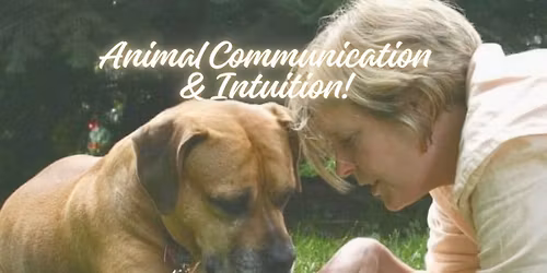 Animal Communication & Intuition