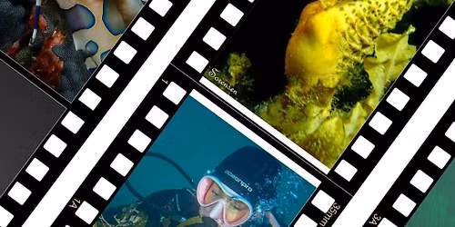 Diveline's 2nd Underwater Photography Exhibition & Social Night