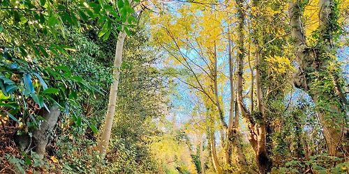 Walk Tonbridge Club -  Somerhill and Postern Lane circular