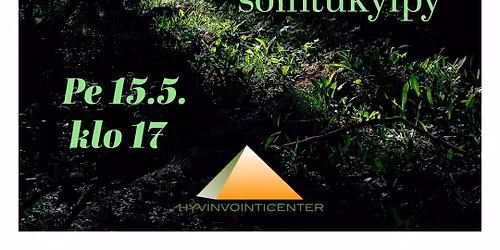 Mets\u00e4 -sointukylpy