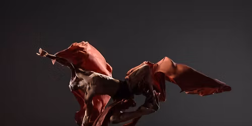 ALONZO KING LINES BALLET \/ DANSE \/ CANNES