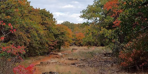 The Flora, Fauna, and Fantastic Nature of Wild DFW 