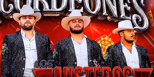 Los Austeros de Durango, Grupo Viada & Mas