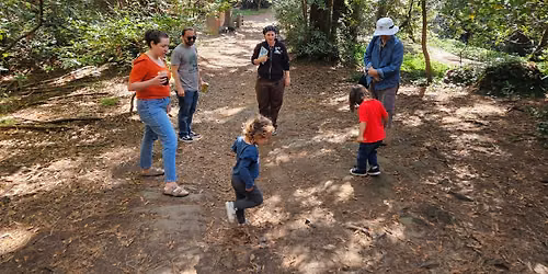 Family Nature Adventures: Owls